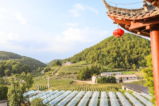 恩施慢姑娘杰克红轰趴馆 商品图11