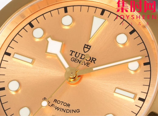 帝舵 3T碧湾系列 男士腕表 表径41mm 商品图4