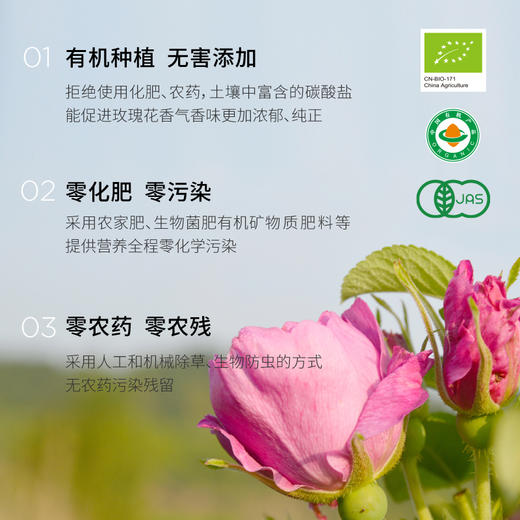 有机玫瑰花冠 3大国际有机认证 拒绝农残污染 花香甜浓泡茶郁撒肝气情绪愉悦 玫瑰花15g/罐 商品图5
