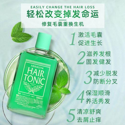 柳屋 头皮发根营养液 240ml 多规格 商品图5