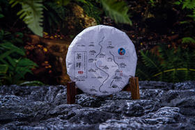 冲泡方法：2023《茶坪》古树春茶