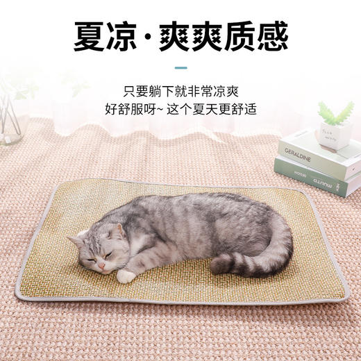 狗狗夏季用猫咪凉垫夏天宠物冰垫凉席狗垫子四季通用睡垫狗窝草席 商品图3