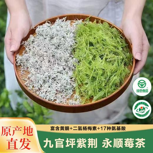 疯抢中！！免费试喝【地理标志产品·永顺莓茶】绿色食品认证 富含黄酮 健康好茶 68g*2盒/赠手提礼袋+20g试喝装 商品图0