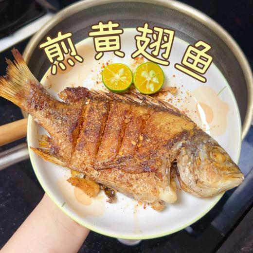 xm{少量..仅限今日特价购!!!}深海黄翅鱼纯天然肉质雪白细嫩，刺少肉多，清蒸、煮汤、干煎都鲜到掉眉毛！顺丰冷链活冻新鲜到家~ 商品图8