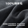 NPC潮牌老钱风100%绵羊毛二粒扣西服套装情侣秋NP57TJ22&NP57TR22 商品缩略图3