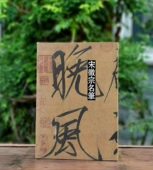 《宋徽宗名笔》，布脊精装，8开，宋徽宗著，上海辞书出版社2020年一版，定价360，售价126元。 商品图0