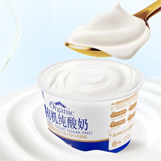 包邮【厂商直发】初酪有机酸牛奶低温巴氏杀菌奶沙漠有机纯酸奶0蔗糖3瓶装 商品图3
