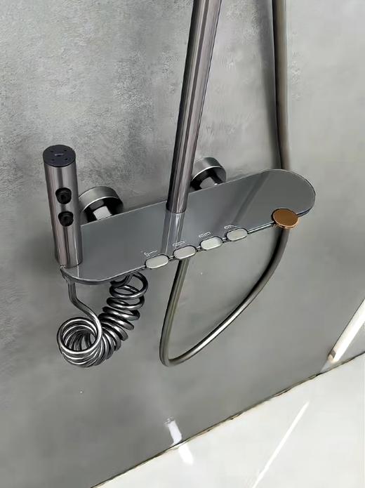 5960全铜圣玛丽四档按键花洒-枪灰 商品图2