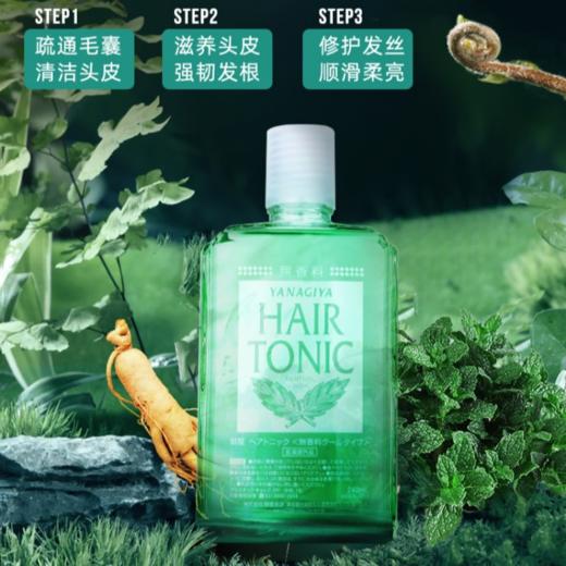 柳屋 头皮发根营养液 240ml 多规格 商品图9