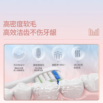 博皓（prooral）【生日礼物】声波电动牙刷护齿压感提醒成人充电式情侣送礼生日礼物 T33白雪 /家用电器 /个护健康 /电动牙刷 商品图0