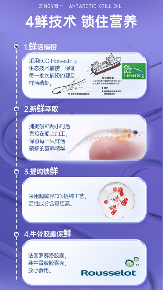 紫一南极磷虾油单瓶60粒装（套餐） 商品图6