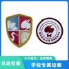 通版深圳市南方科技大学附属实验学校包边小学初中圆形盾牌缝烫51 商品缩略图0