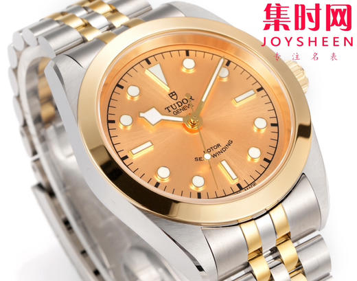 帝舵 3T碧湾系列 男士腕表 表径41mm 商品图2