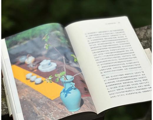 重磅推荐！！《补书》，16开平装，汪帆著，浙江古籍出版社2025年8月一版一印，272页，定价168，签名版128，普通版99元。 商品图10