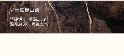 「鸡内金饼干」呵护脾胃娇嫩小朋友 配料干净 0添加糖 商品图7