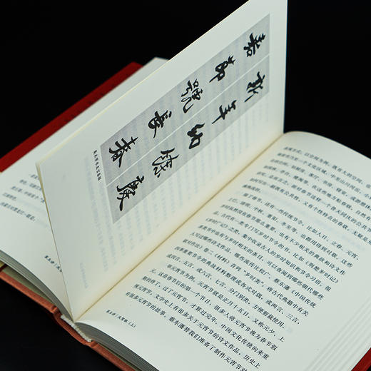 对联课 中华传统文化  讲对联 赏对联 作对联 评对联等程章灿著作 ND 商品图2