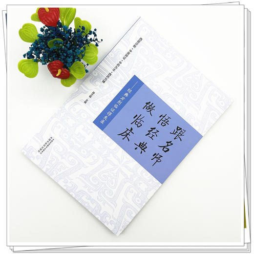 跟名师 悟经典 做临床:经典方剂临证得失录 薛文翰 主编 中国中医药出版社 西医诊断 中医辨证 中药为主 西药为辅 商品图1