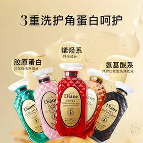 黛丝恩致美控油蓬松洗发水头皮养护洗发露450ml  /个人护理 /洗发护发 /洗发水