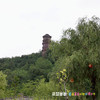 【袋鼠爸爸去哪儿丨地建南山(永寿)花园酒店】永寿县地标性的园林式酒店，以绿色生态为主题，可免费停车，有近2.6万平米户外草坪，适合露营烧烤，轻松县城游~ 商品缩略图13