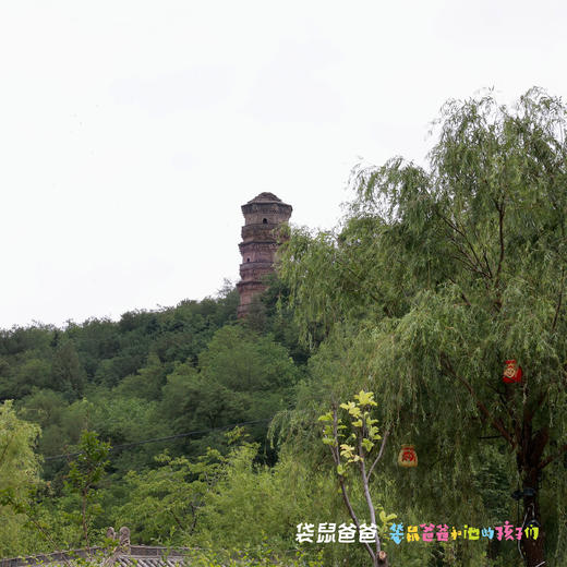 【袋鼠爸爸去哪儿丨地建南山(永寿)花园酒店】永寿县地标性的园林式酒店，以绿色生态为主题，可免费停车，有近2.6万平米户外草坪，适合露营烧烤，轻松县城游~ 商品图13