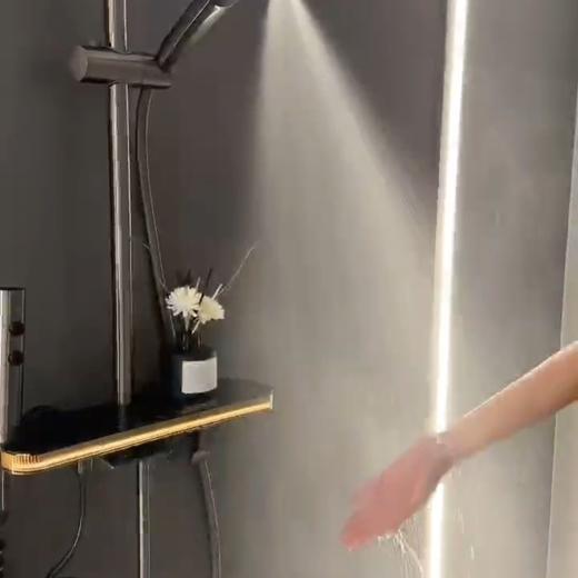 6036卡蜜拉全铜数显钢琴花洒-枪灰 商品图5