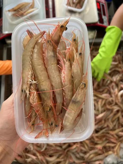 & 新鲜上岸的本港沙鲁虾🦐虾壳特薄，虾肉清甜，鲜度满满[强] 活冻 商品图4