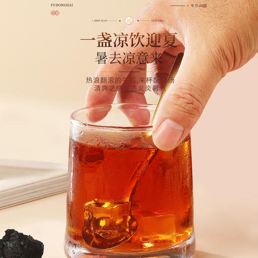 福东海 真果肉酸梅粉250g  免煮 果肉原料包酸梅汤汁酸甜固体速溶冲饮 商品图2