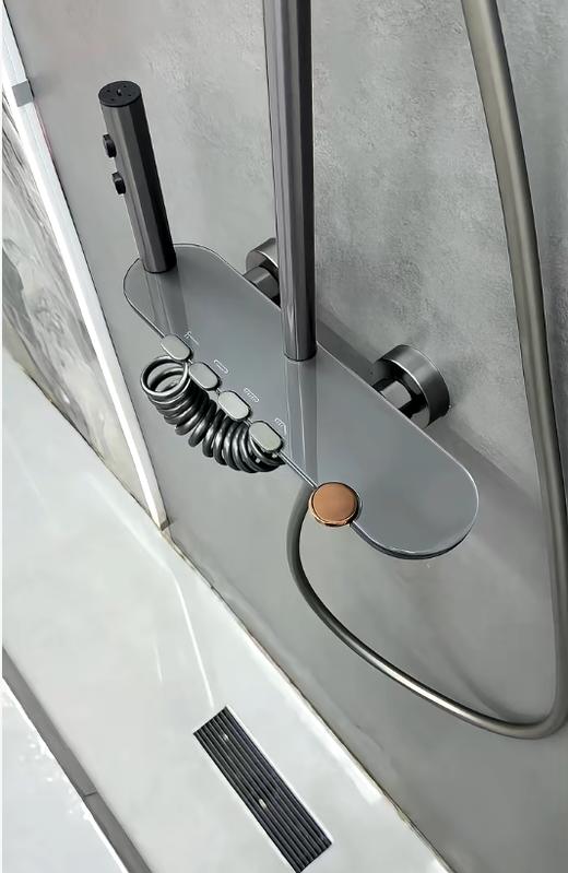 5960全铜圣玛丽四档按键花洒-枪灰 商品图0