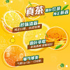 维他奶维他气泡柠檬味碳酸茶饮料200ml*12罐 日期8月特价 开学季 /水饮冲调 /饮料 /茶饮料 商品缩略图4