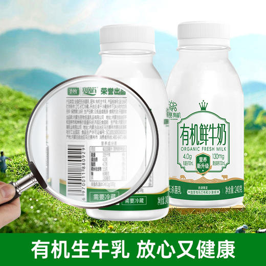 圣牧有机低温鲜牛奶早餐牛奶巴氏杀菌牛奶孕妇儿童牛奶240克*8瓶 商品图2