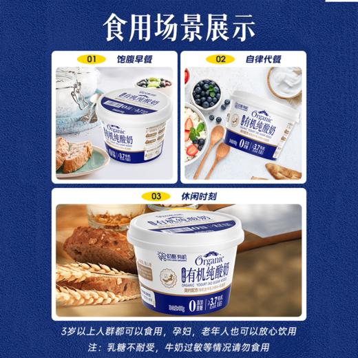 圣牧|初酪有机零糖酸奶|初酪有机纯酸奶无蔗糖酸奶0蔗糖0添加高端低脂奶400克/盒（每周一发货/需要预售） 商品图1
