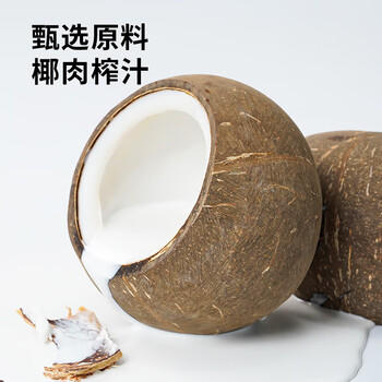 展艺椰浆400ml 生椰拿铁高浓度椰汁椰奶西米露水果捞甜品伴侣烘焙原料 /粮油调味 /烘焙原料 /饮品原料 商品图1
