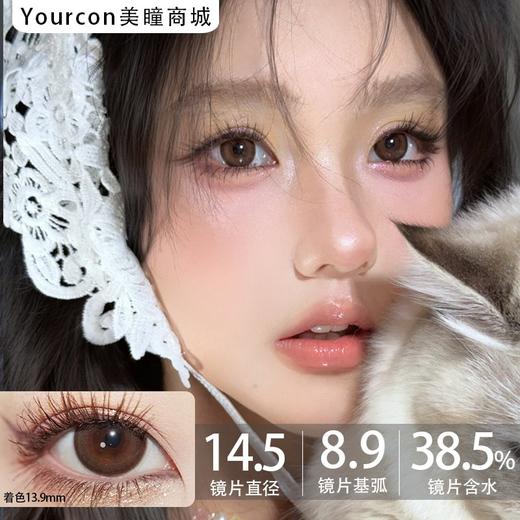 Sincecon半年抛·缅因灰/泰迪棕/麋鹿巧·14.5mm大着色 商品图6