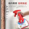 威王除霉除菌喷雾350g墙体墙面除霉清洁剂浴室厨房瓷砖去霉斑去渍防霉 /家庭清洁/纸品 /家庭环境清洁 /除霉用品 商品缩略图0