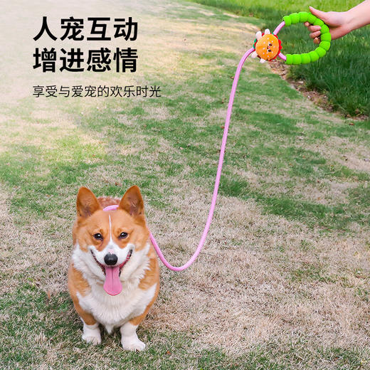 爆款新DIY卡通p绳狗狗外出爆冲牵引绳狗狗遛狗链牵引狗绳宠物用品 商品图2