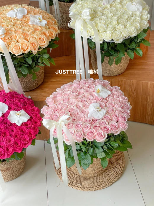 仙子花桶(超大号/大号/中/小号）/蒲草桶 商品图1