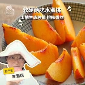 生态黄金蜜桃 | 合作生产*  Ecological peach | Partner Production