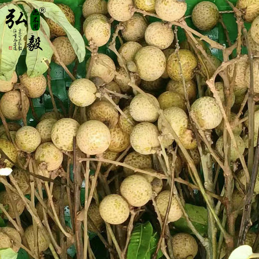 【弘毅六不用生态农场】六不用 龙眼 （干） 商品图3