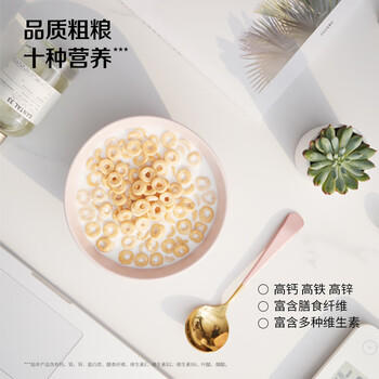 雀巢（Nestle）进口脆谷乐儿童零食500g谷物圈儿童麦片早餐即食非油炸全谷物 /水饮冲调 /冲饮谷物 /膨化谷物 商品图0