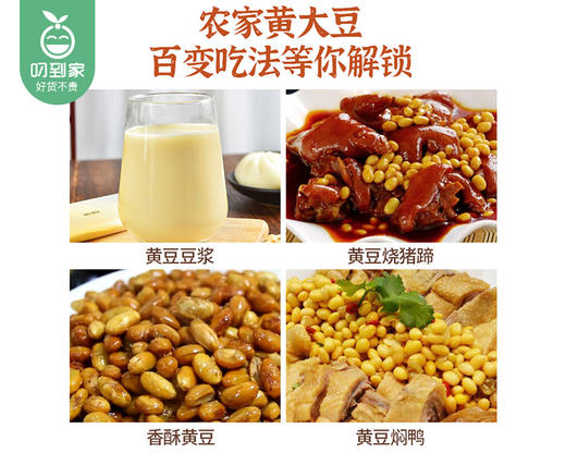 【到手2包】袁蒙草原土黄豆/1份（420g*2包）生产日期：25年11月 商品图2