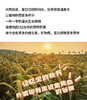 组团 商品缩略图8