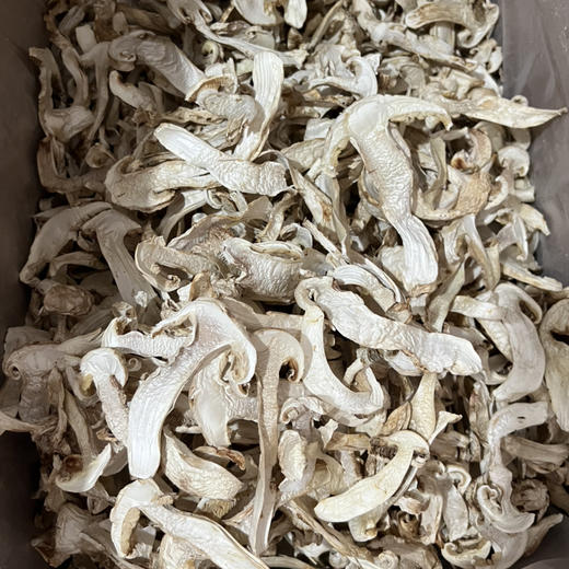 【香格里拉松茸】 去皮干片 /可免费代打粉/ 新货包邮 商品图2