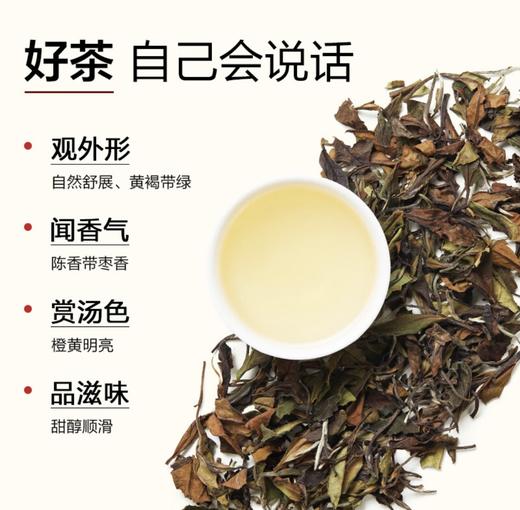 小罐茶园福鼎寿眉白茶陈香枣香一级口粮生活茶叶自己喝小罐茶出品 商品图2