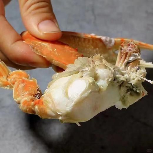 &本港扁蟹拥剑梭子蟹🦀壳薄肉多，纯吃肉的哦！新鲜]活冻 商品图10