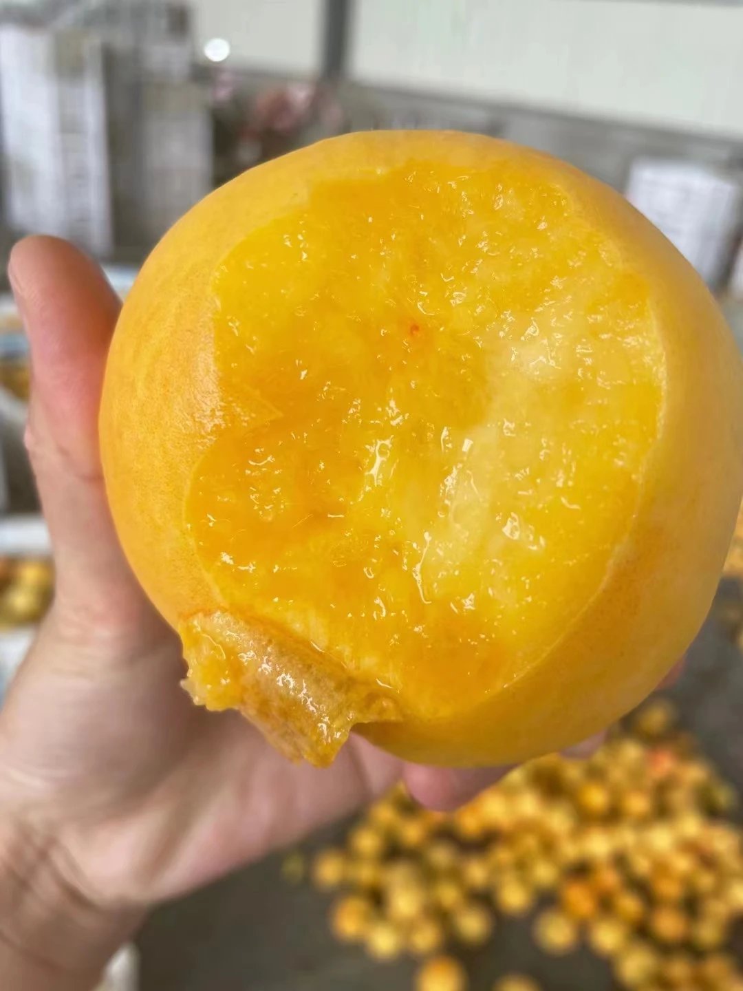 到手4斤！来自山东蒙阴的【黄菊油桃】全年度晚熟的油桃品种✅有淡淡的菊花香~硬吃脆甜爽口，软吃香甜爆汁！一定要试试！