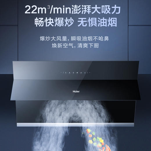 海尔（Haier）烟机CXW-219-MA2C1 商品图2