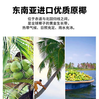 SUSA苏萨 生榨椰子汁 椰奶 植物蛋白饮料 1kg×6瓶 整箱 宴请/自饮 /水饮冲调 /饮料 /植物蛋白饮料 商品图3