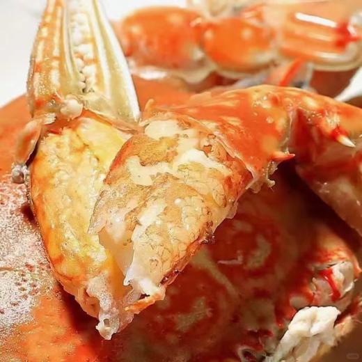 &本港扁蟹拥剑梭子蟹🦀壳薄肉多，纯吃肉的哦！新鲜]活冻 商品图9
