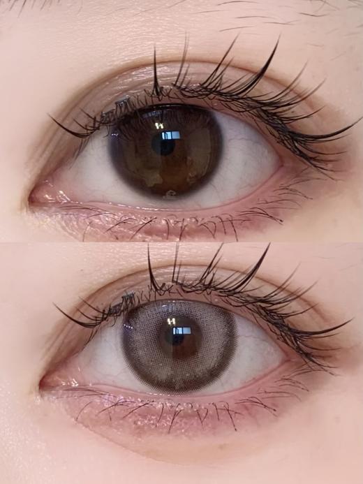 Sincecon月抛·枯萎蔷薇·14.2mm中等着色 商品图2