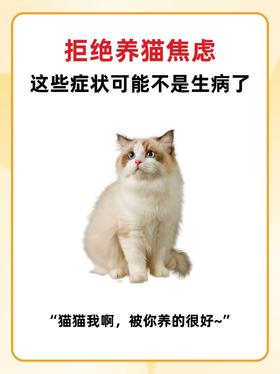 拒绝养猫🐱焦虑，这些问题别再大惊小怪啦‼️